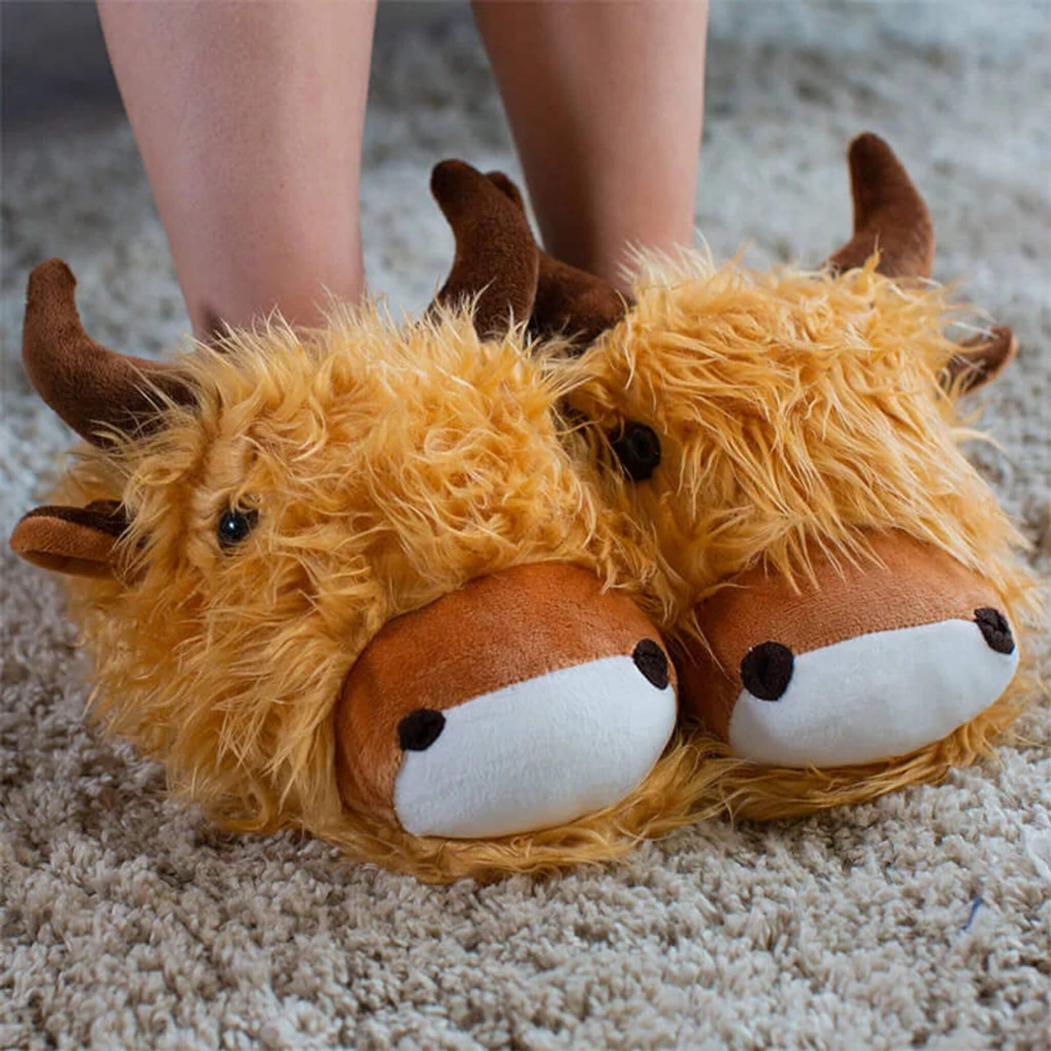 Harris The Highland Cow Novelty 3D Slippers - Main Image